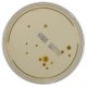 Trypcase soy agar irradited non-irradiated (90mm)
